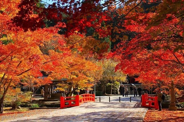 英霊殿付近の紅葉