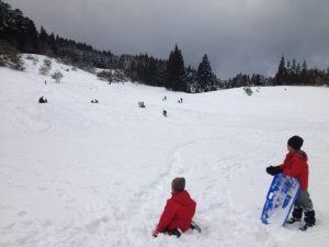 高野山にもスキー場があった！？夏はキャンプができる転軸山森林公園
