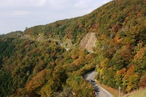 高野山金剛峯寺が協力！高野龍神スカイラインウルトラマラソン
