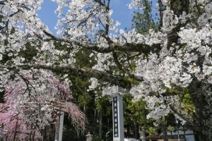 高野山に銀行はあるの？ガソリンスタンドは？コンビニは？
