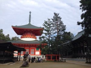 所さんのニッポンの出番！で紹介された三鈷の松／壇上伽藍エリア