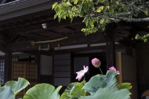 トイレ付きの部屋がある高野山の宿坊一覧