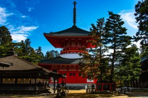 高野山の三鈷の松がもたらすご利益とは何でしょうか？これを見つけたあなたは幸運な方です